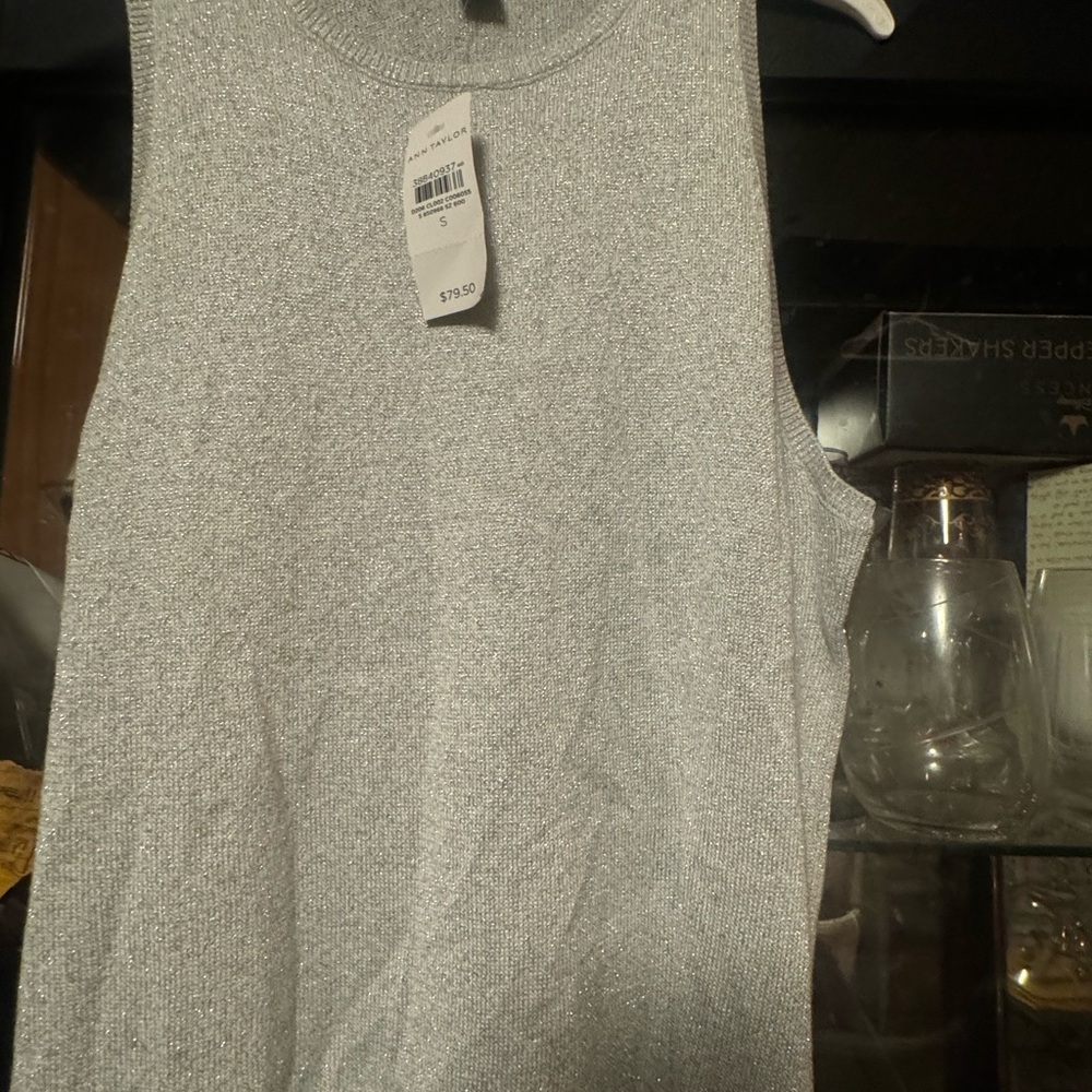 Ann Taylor Shimmering Silver Top